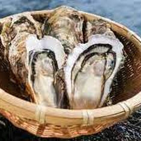 釜石牡蠣