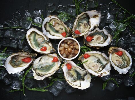 oysters-1209767_1920
